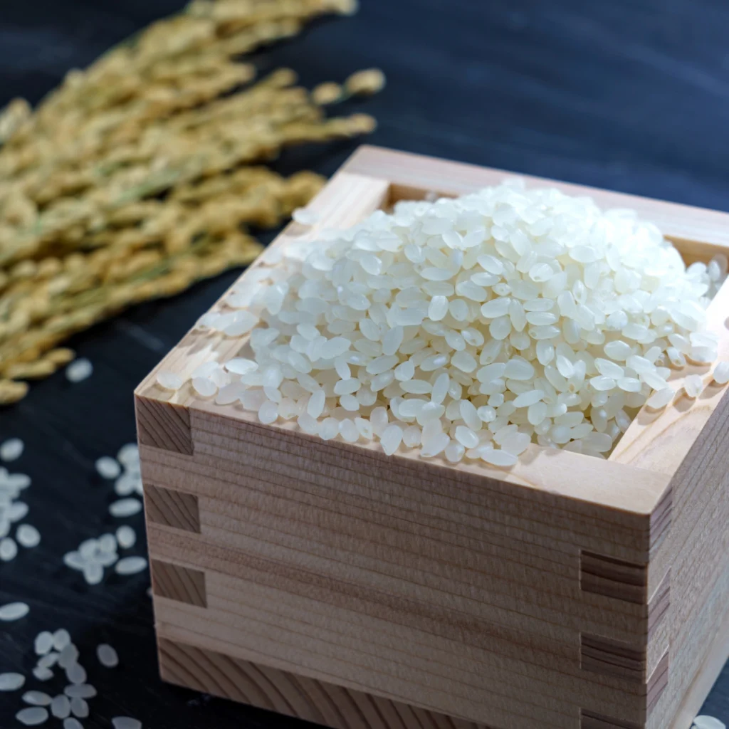Arroz japones