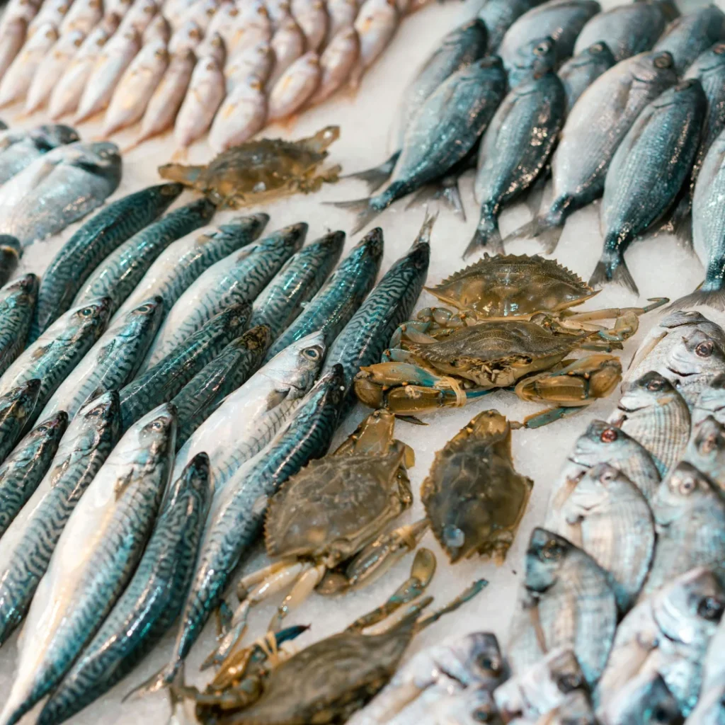 Variedade de peixesVariedade de peixes